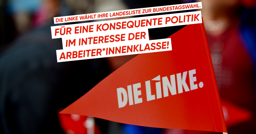 DIE LINKE wählt ihre Landesliste zur Bundestagswahl. Unser Aufruf an alle Delegierten